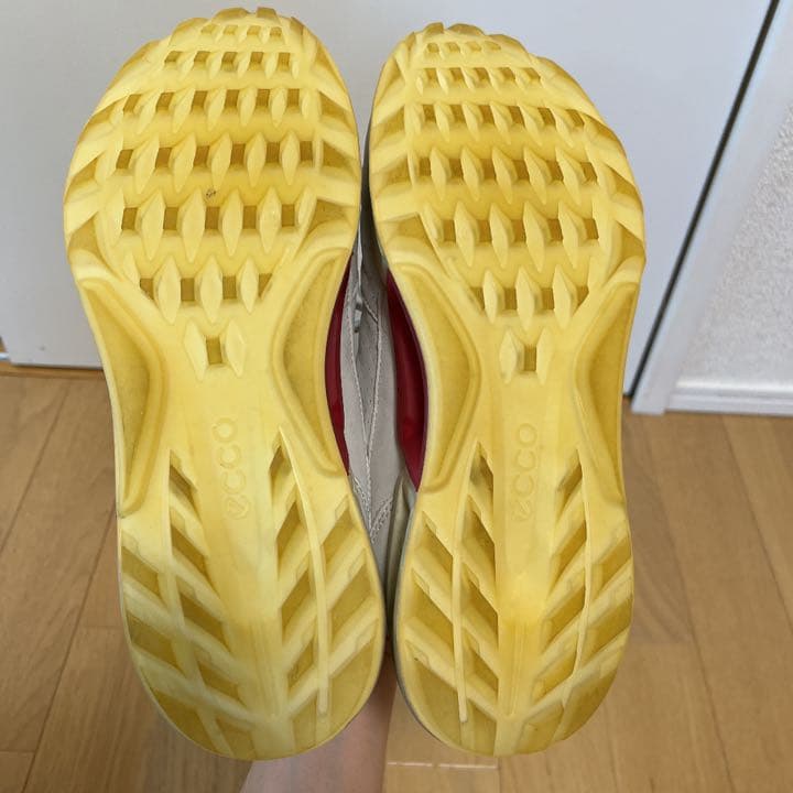 25㎝【ecco ゴルフシューズ】BIOM C4 スパイクレス