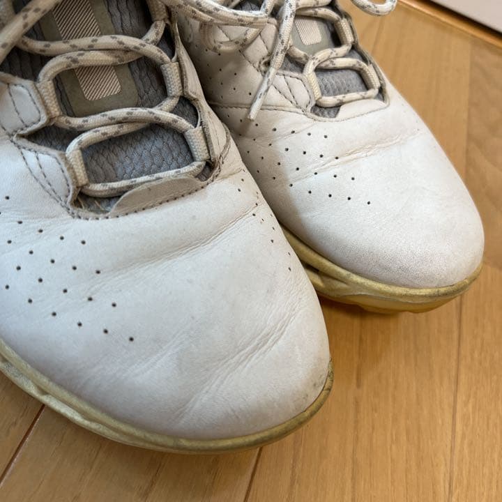 25㎝【ecco ゴルフシューズ】BIOM C4 スパイクレス