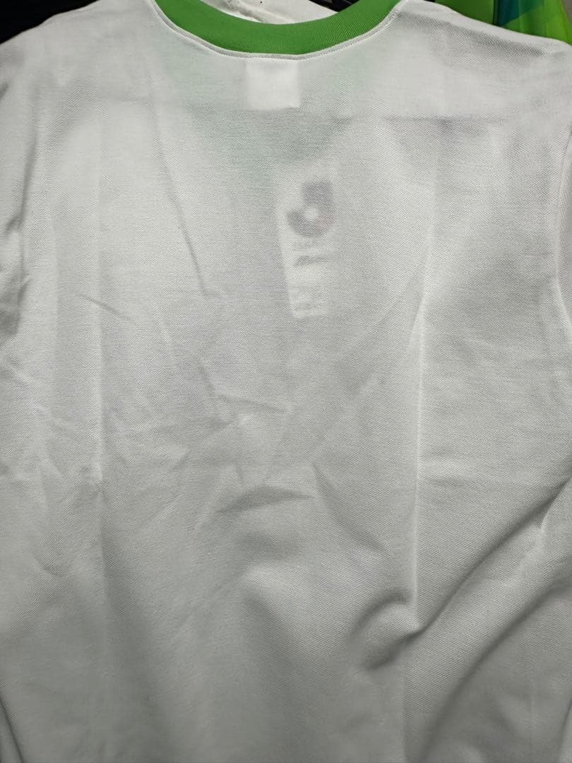 ベルマーレ平塚、現湘南ベルマーレ