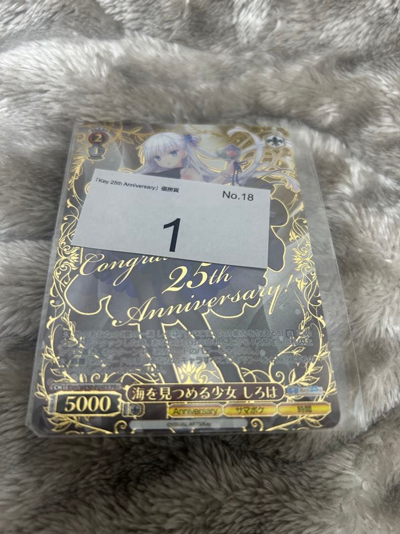 ヴァイスシュヴァルツ　海を見つめる少女　しろは　PR＋　新品未開封