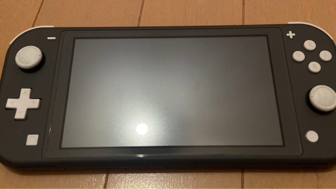 Switch Light グレー 本体のみ L10884542 - Nintendo Switch