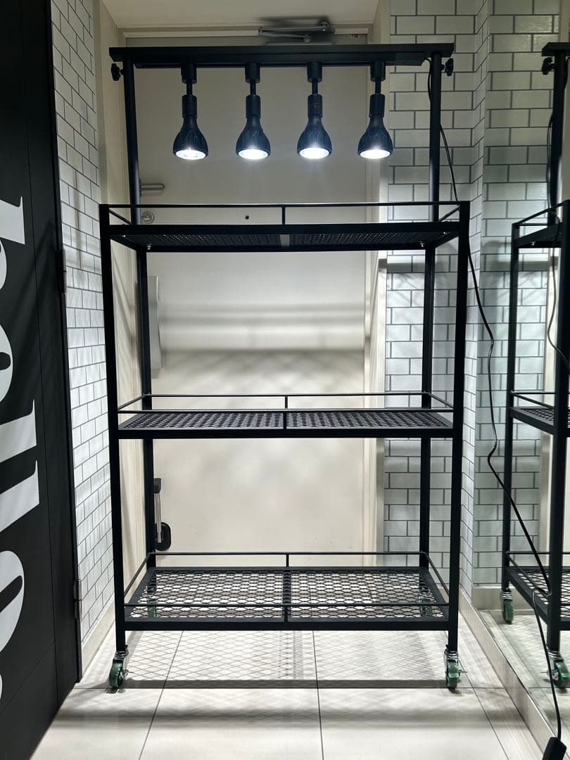 植物棚　アイアン棚　伸縮ライトレール　パキプス　アイアンシェルフ　アガベ