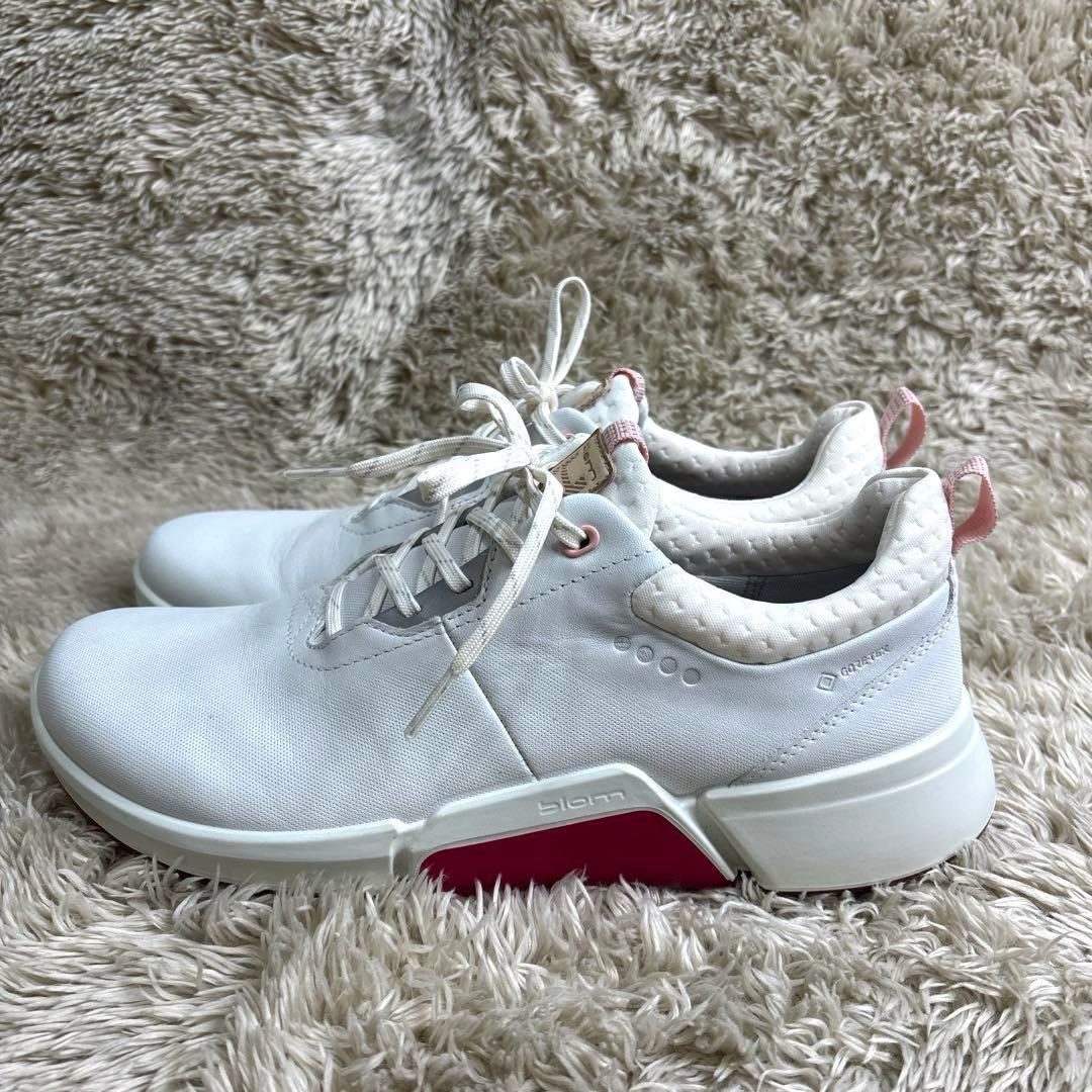 ECCO/エコー ◆バイオム HYBRIDゴルフシューズ　Gore-Tex