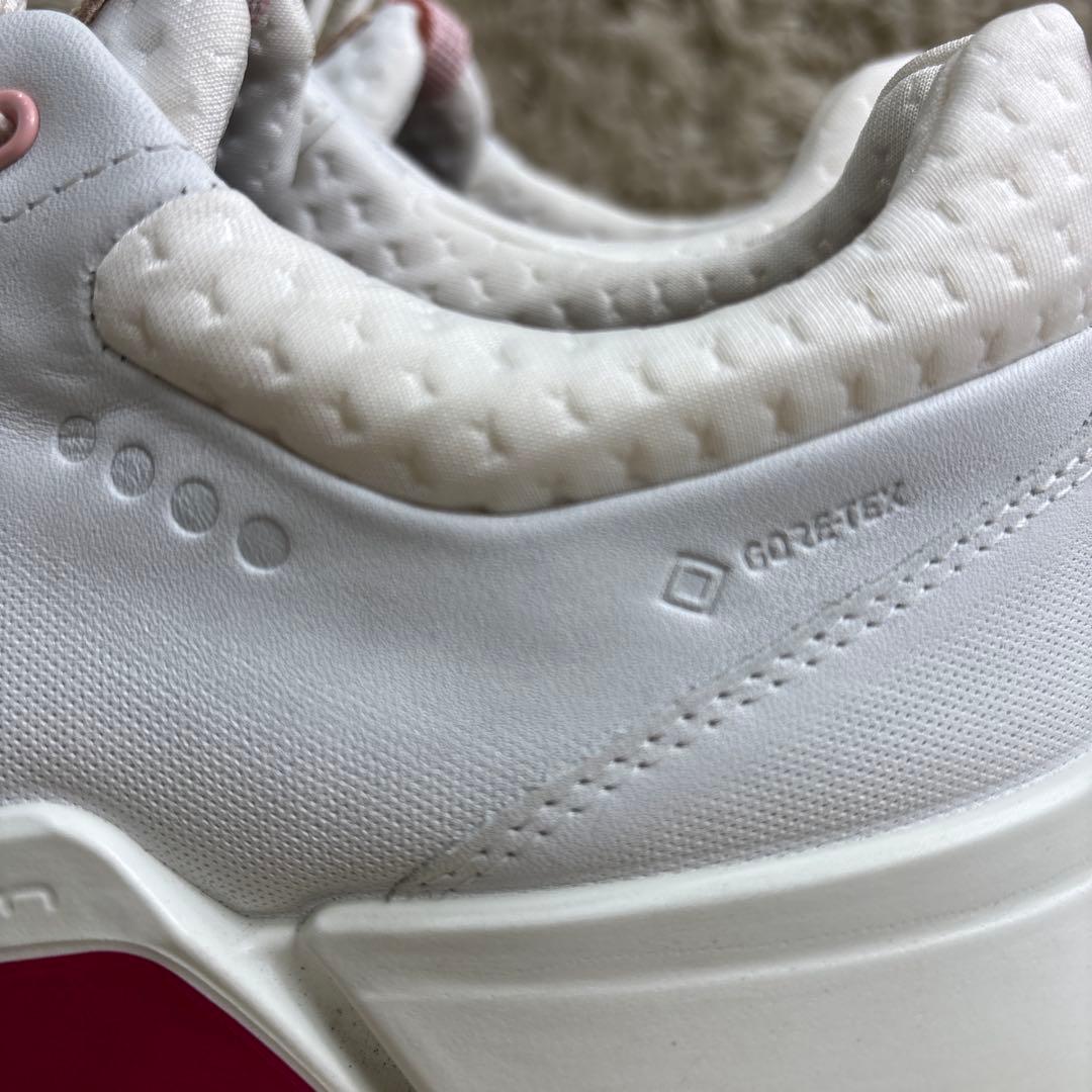 ECCO/エコー ◆バイオム HYBRIDゴルフシューズ　Gore-Tex