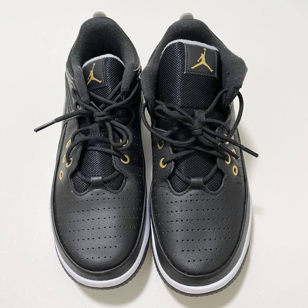 NIKE ナイキ スニーカー 25.5cm エアジョーダン マックス オーラ 5