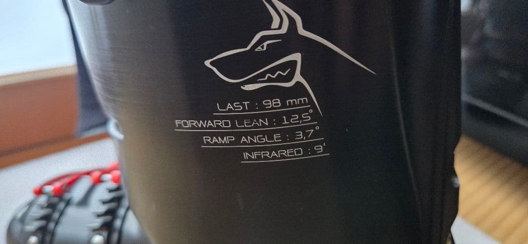 Nordica Dobermann GP 110 スキーブーツ