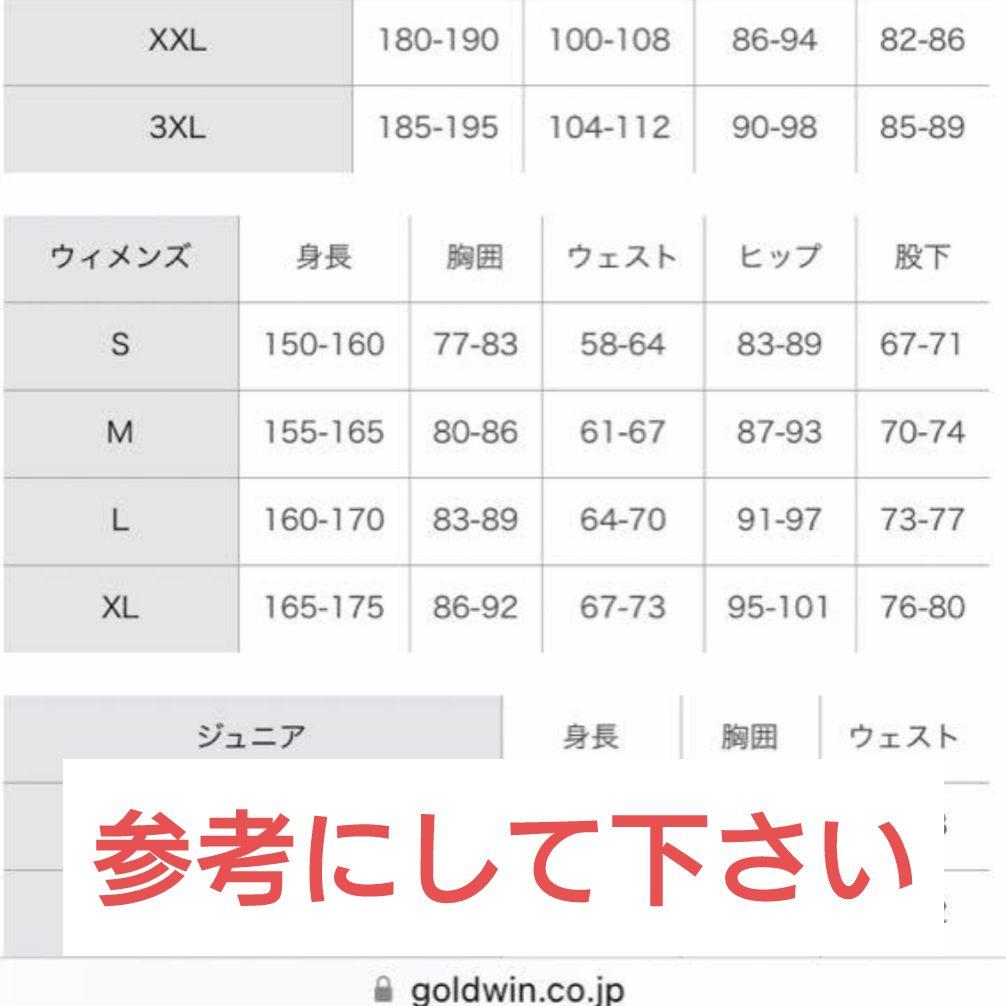 【年末年始値引き】スノーボードウェア　レディースＭ