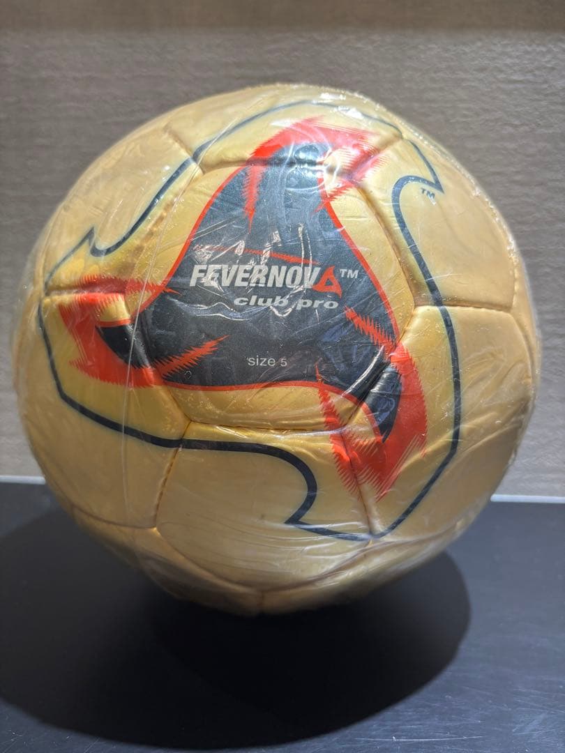 日韓ワールドカップ　2002年日韓W杯FEVERNOVA