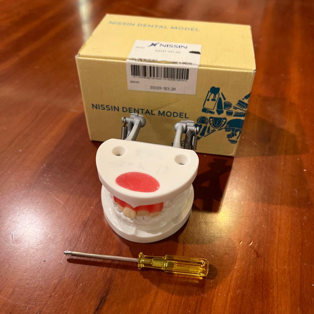 NISSIN D21D-SO.20 歯科模型 矯正用模型 - メルカリ