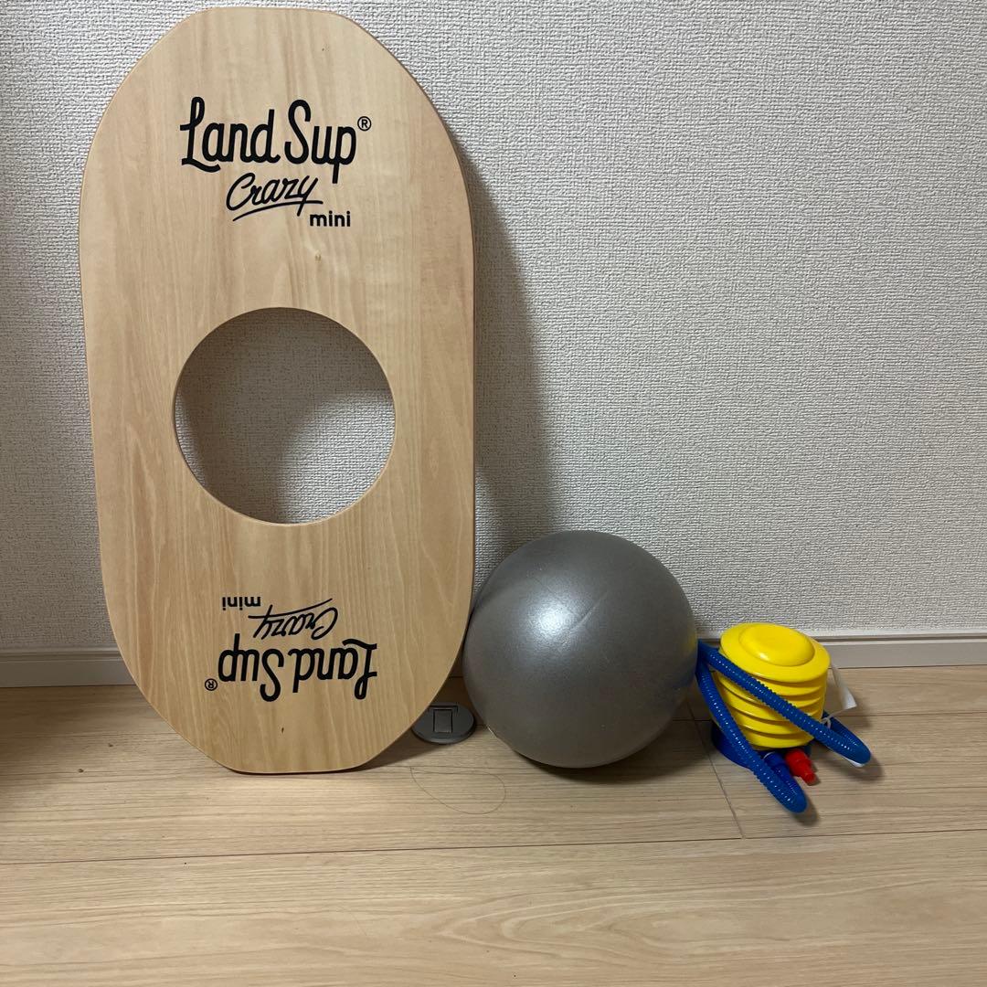 Land sup Crazy mini バランスボード　ランドサップ
