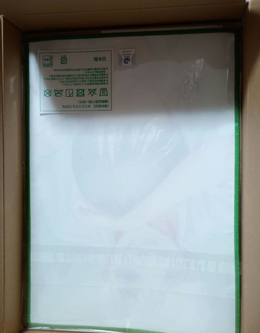 光が死んだ夏 特装版小説 1巻　漫画4巻 ゲーマーズ　マイクロファイバータオル