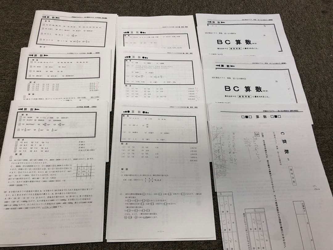 早稲田アカデミー NN開成（筑駒/灘）コース 土特/正月他 国算 2023