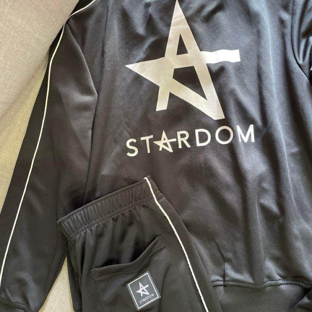 M スターダム なつぽい 複製サイン入りステッカー付 トラック