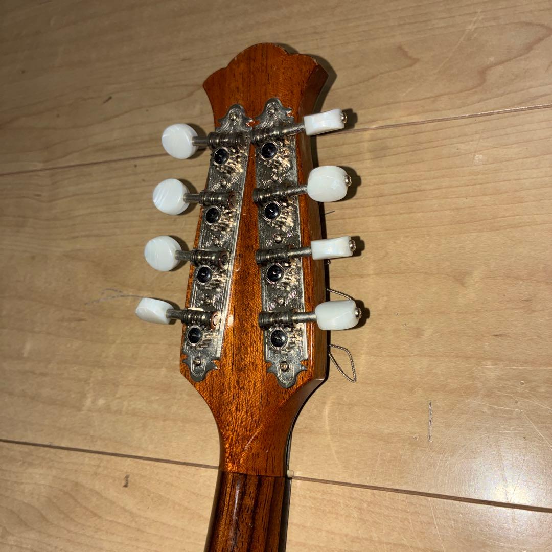 TSUNEO FUJIMARU MODEL ikegaku ANNO マンドリン|mercariメルカリ官方