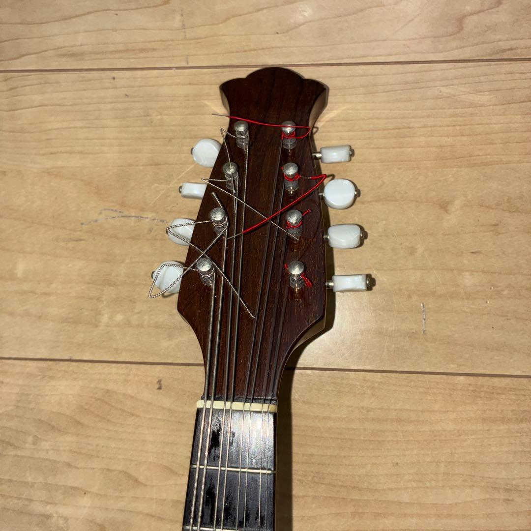 TSUNEO FUJIMARU MODEL ikegaku ANNO マンドリン|mercariメルカリ官方