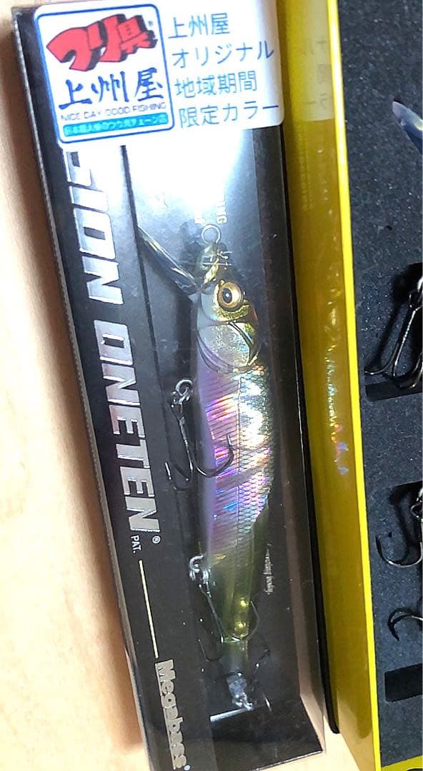 vision110、ONETEN X