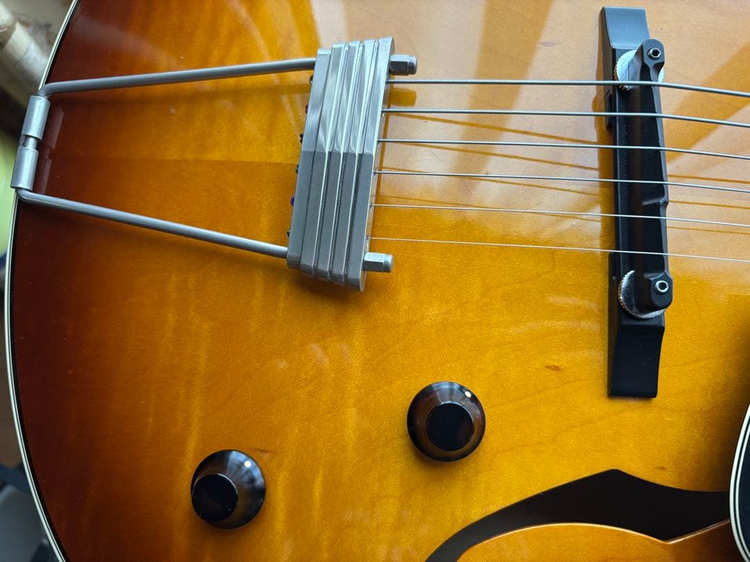 ゴダン Godin 5th Avenue Jazz 希少フルアコギター