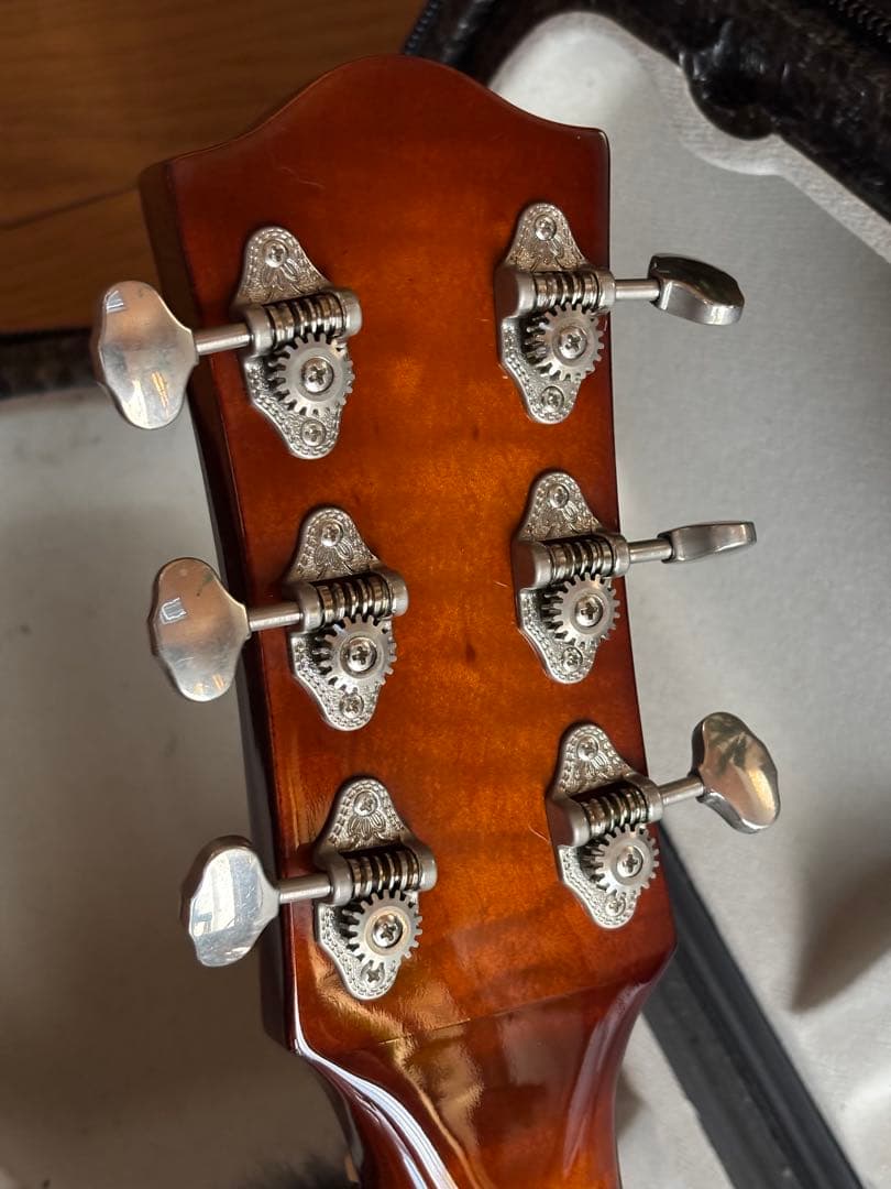 ゴダン Godin 5th Avenue Jazz 希少フルアコギター