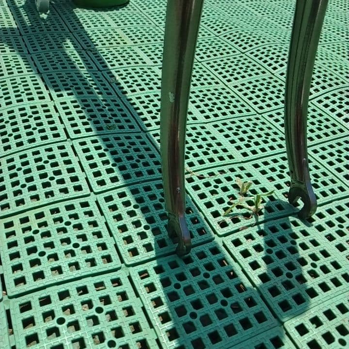 トラックレーサーフレーム アンカー競輪ピスト身長175センチ程度 皮輪行袋おまけ