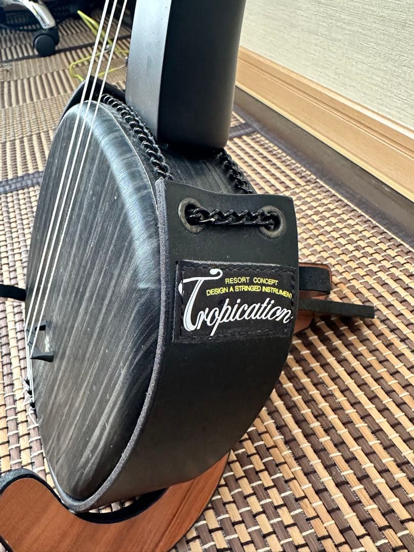 希少 ペグ三線 沖縄 ASOVIVA - メルカリ