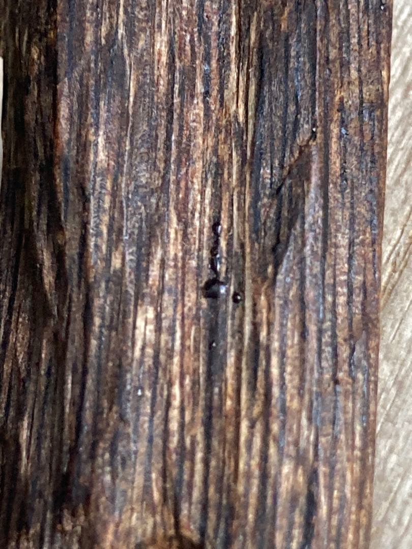 沈水　沈香　香木　タニ　極上　 3.3g