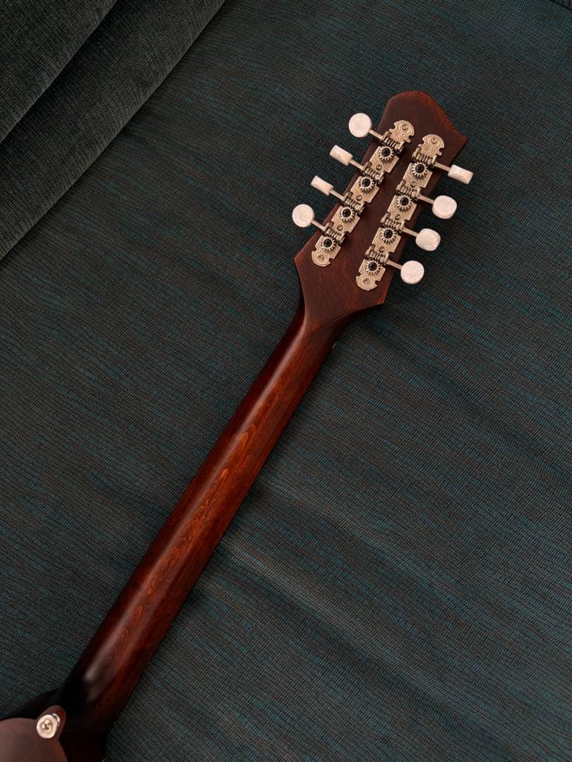 【最終価格】Eastman MDO-305 オクターブマンドリン