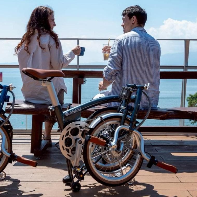 ASEEL 畳んで転がせる折りたたみ電動アシスト自転車 シーグリーン