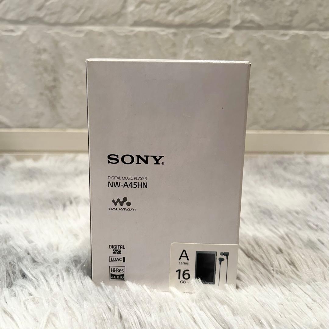 【極美品】 ソニー ウォークマン Aシリーズ NW-A45HN 　SONY
