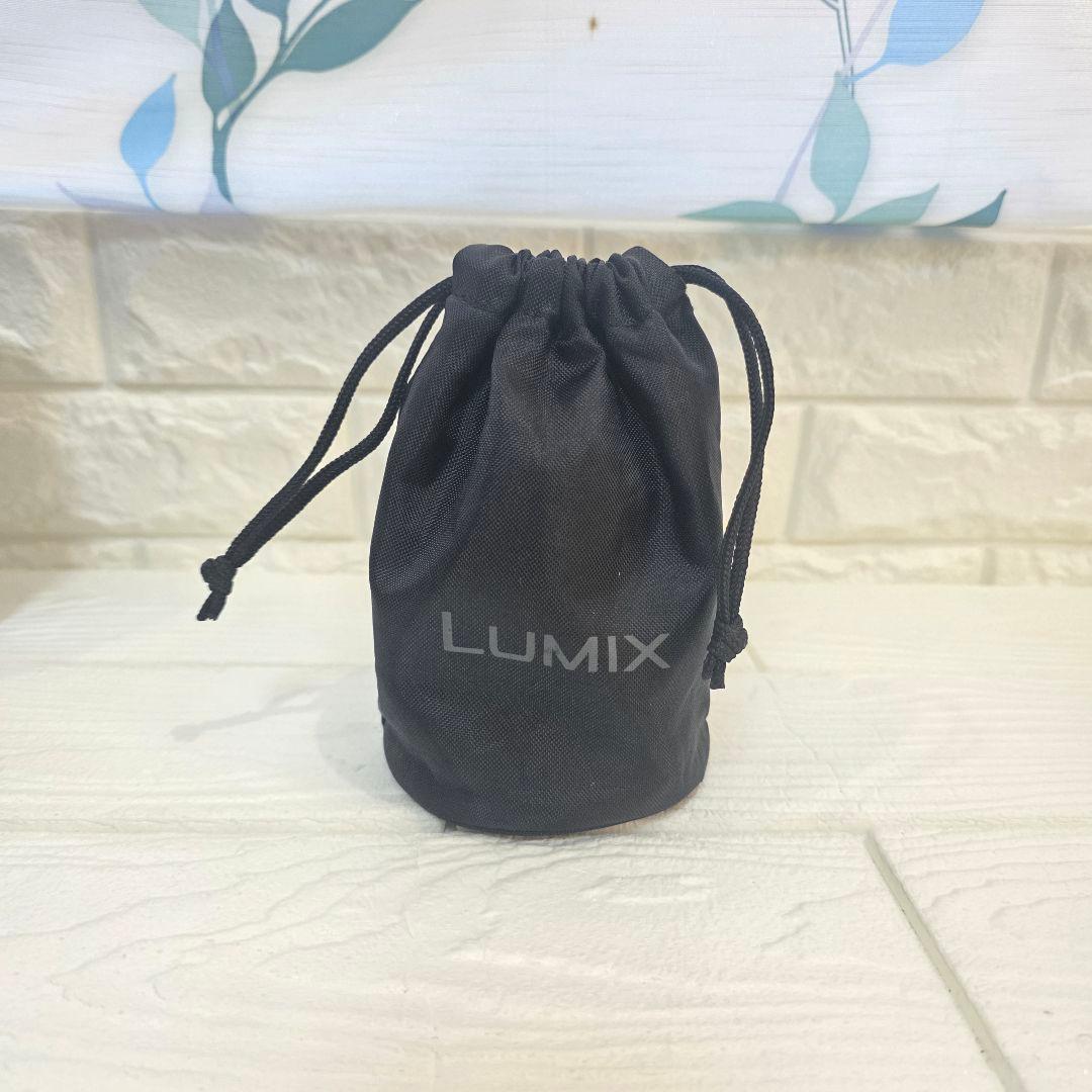 387】Panasonic LUMIX G 45-175mm H-PS45175