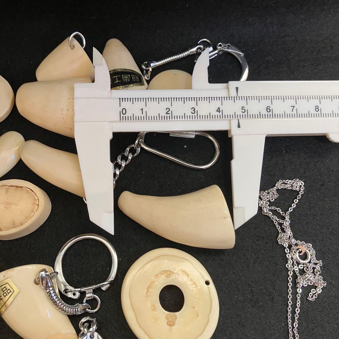 鯨歯素材　印材とアクセサリーパーツ セット