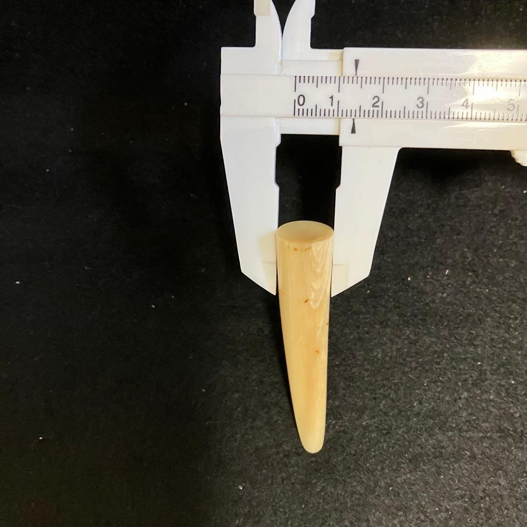 鯨歯素材　印材とアクセサリーパーツ セット