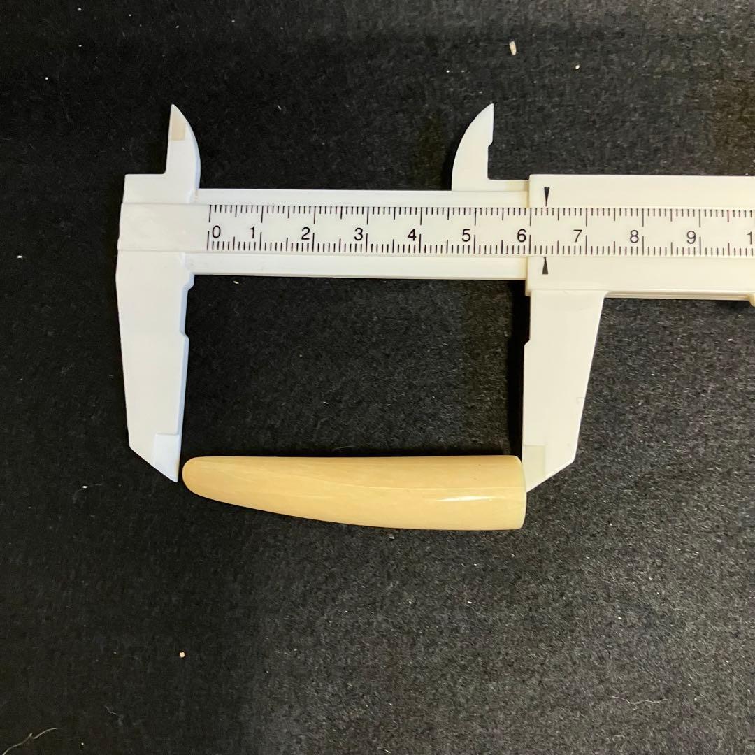 鯨歯素材　印材とアクセサリーパーツ セット