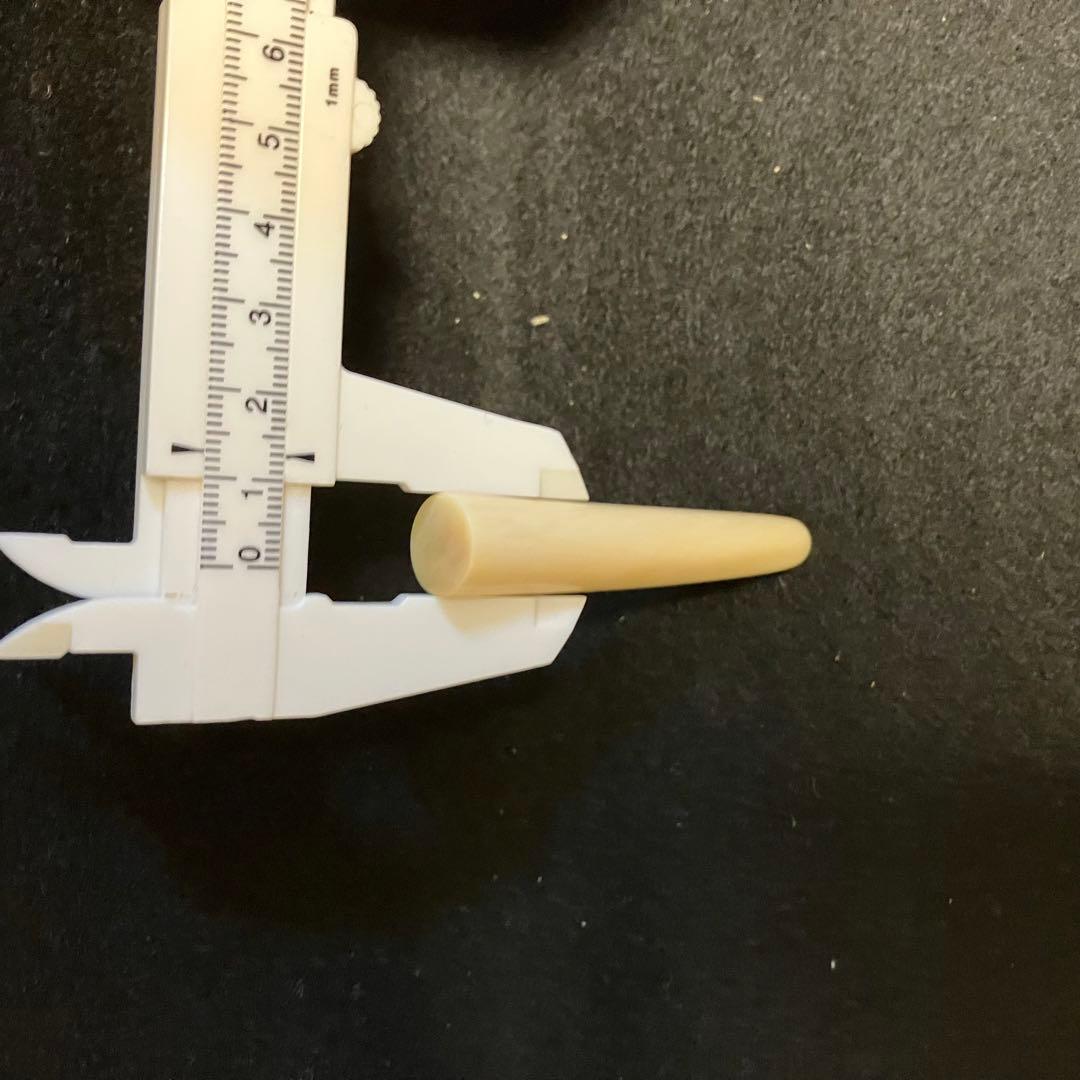 鯨歯素材　印材とアクセサリーパーツ セット