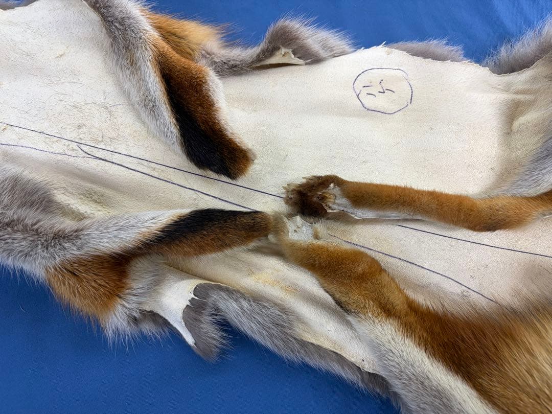 ろく様107【毛皮】赤狐処分No2、顔、脚、尾