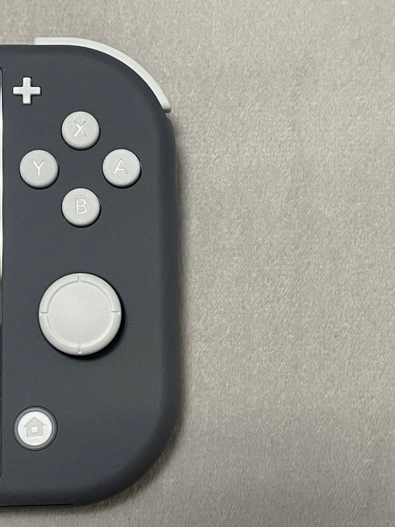 Nintendo Switch Lite グレー＆未使用画面保護フィルム