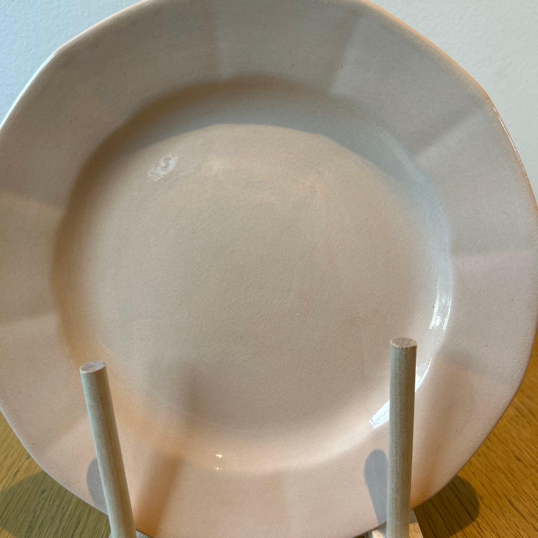 フランスアンティークプレート　サルグミンヌ　2枚セット