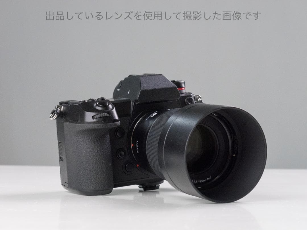 Panasonic LUMIX レンズ 45-150mm H-FS45150