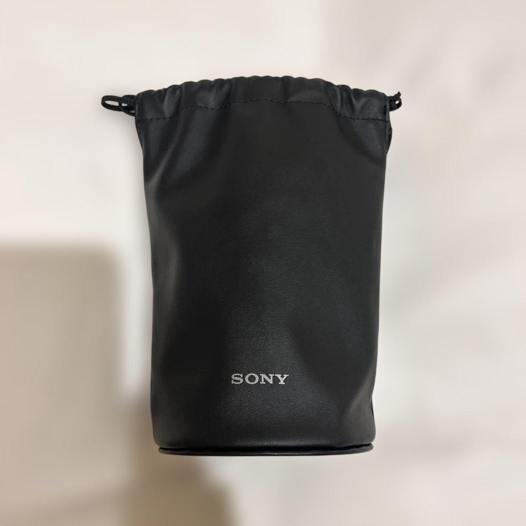 SONY FE 24-105mm F4 G OSS 中望遠SEL24105G