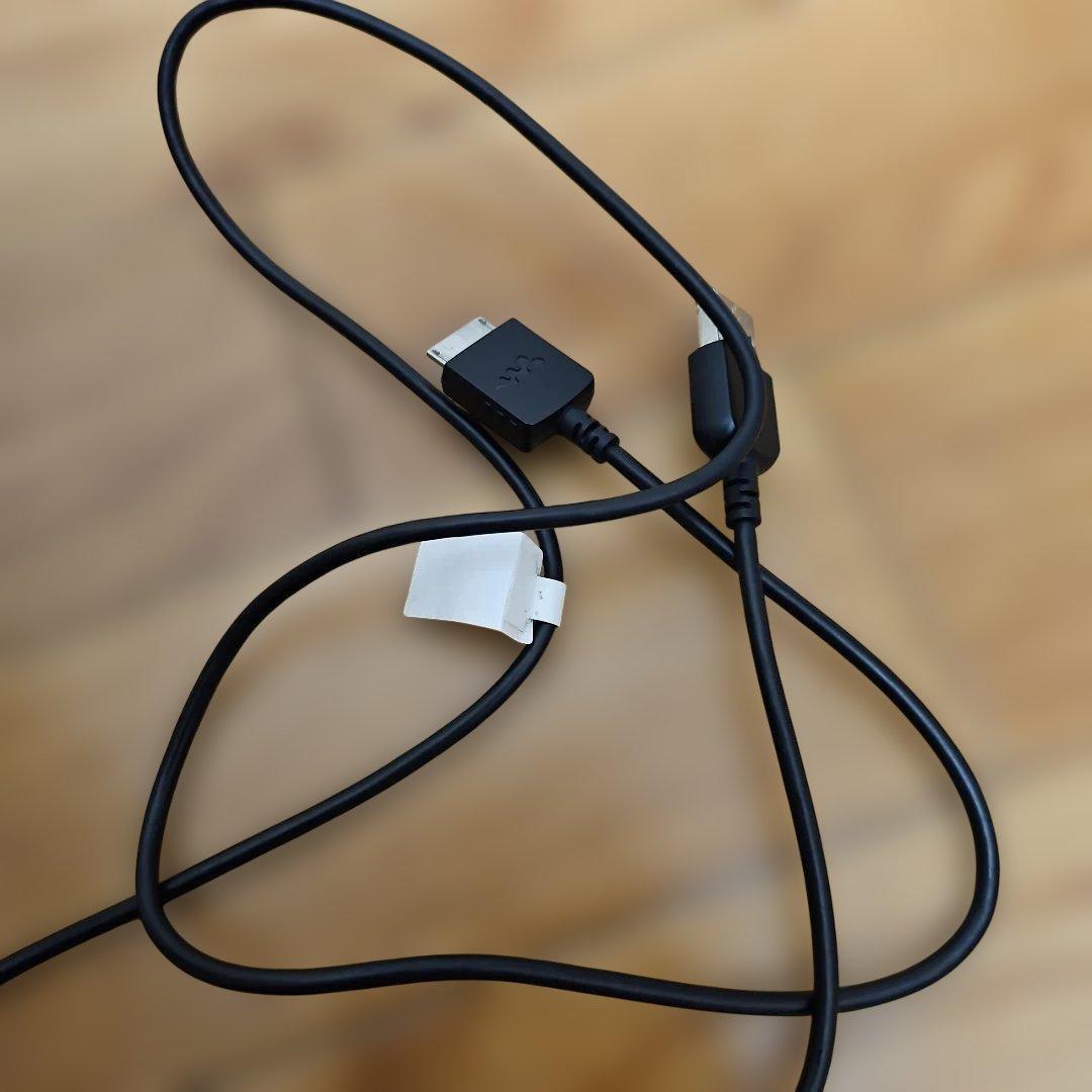 ポータブルプレーヤー SONY NW-ZX300