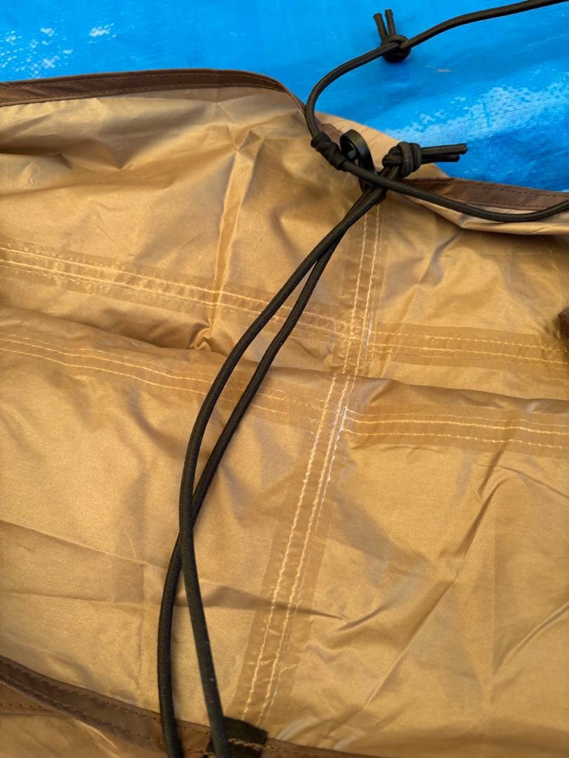 【直接引き取り希望】オガワ アポロン