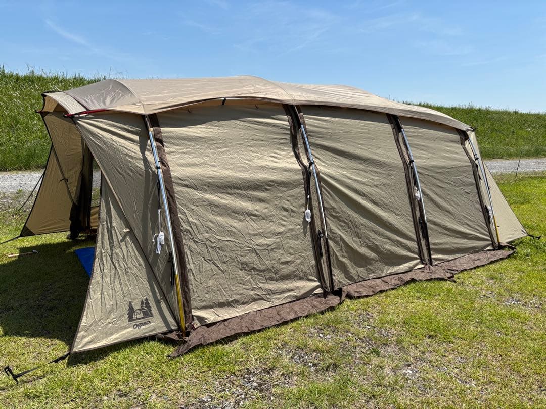 【直接引き取り希望】オガワ アポロン