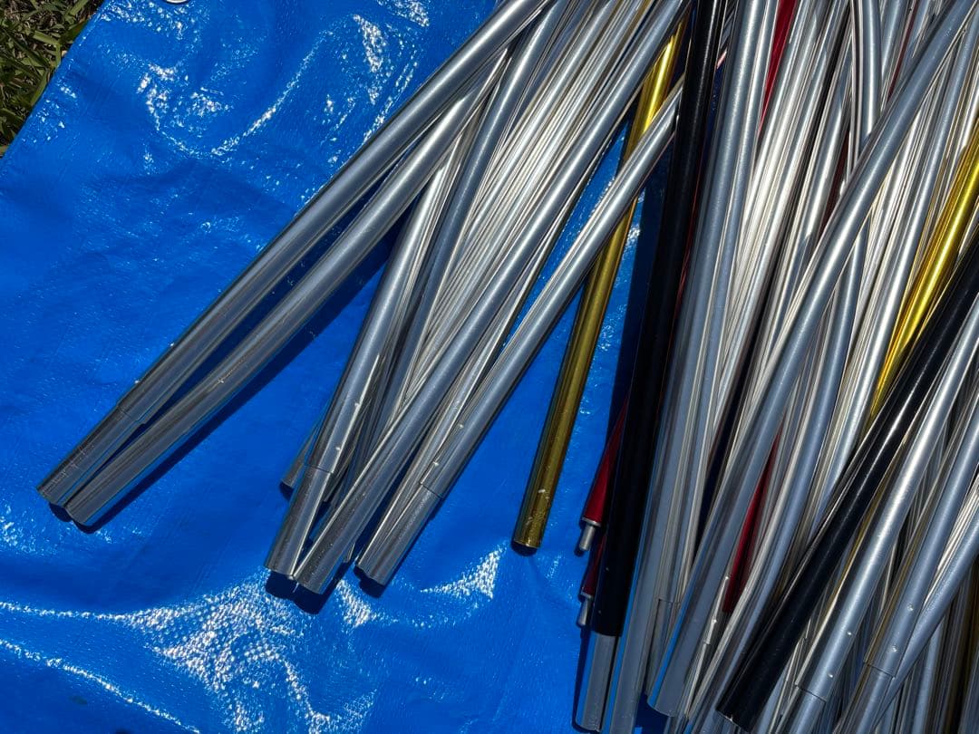 【直接引き取り希望】オガワ アポロン