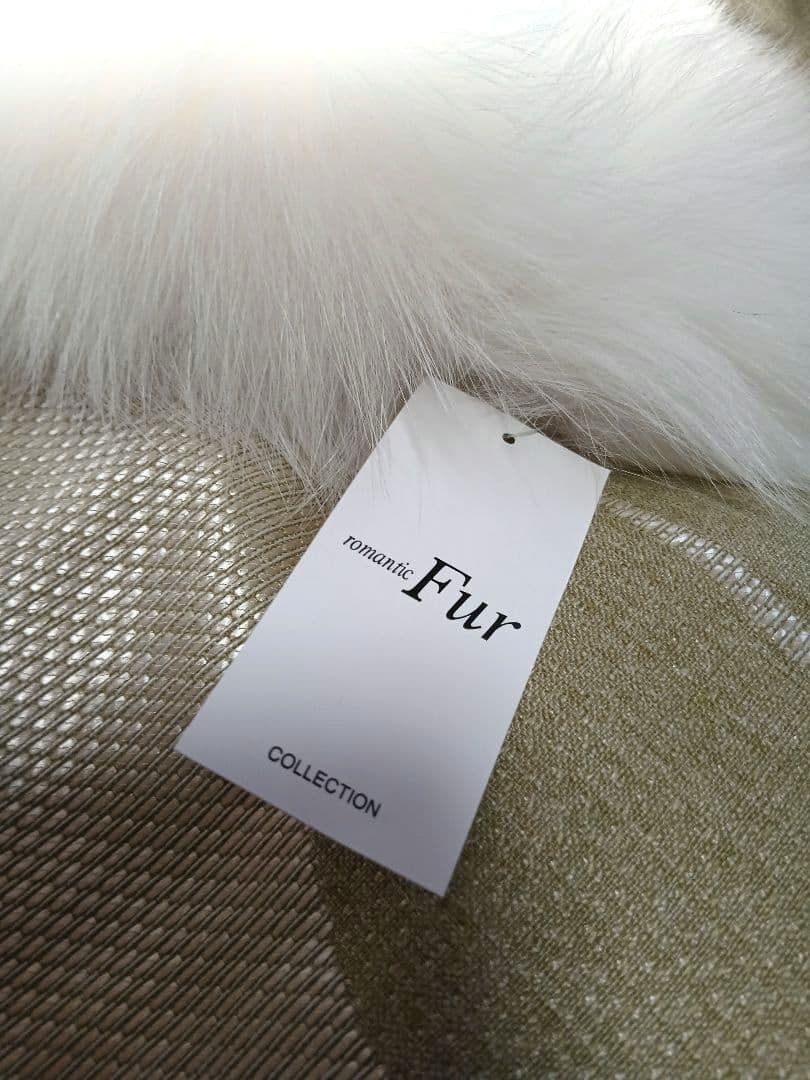 未使用) SAGAシャドーFOXショール