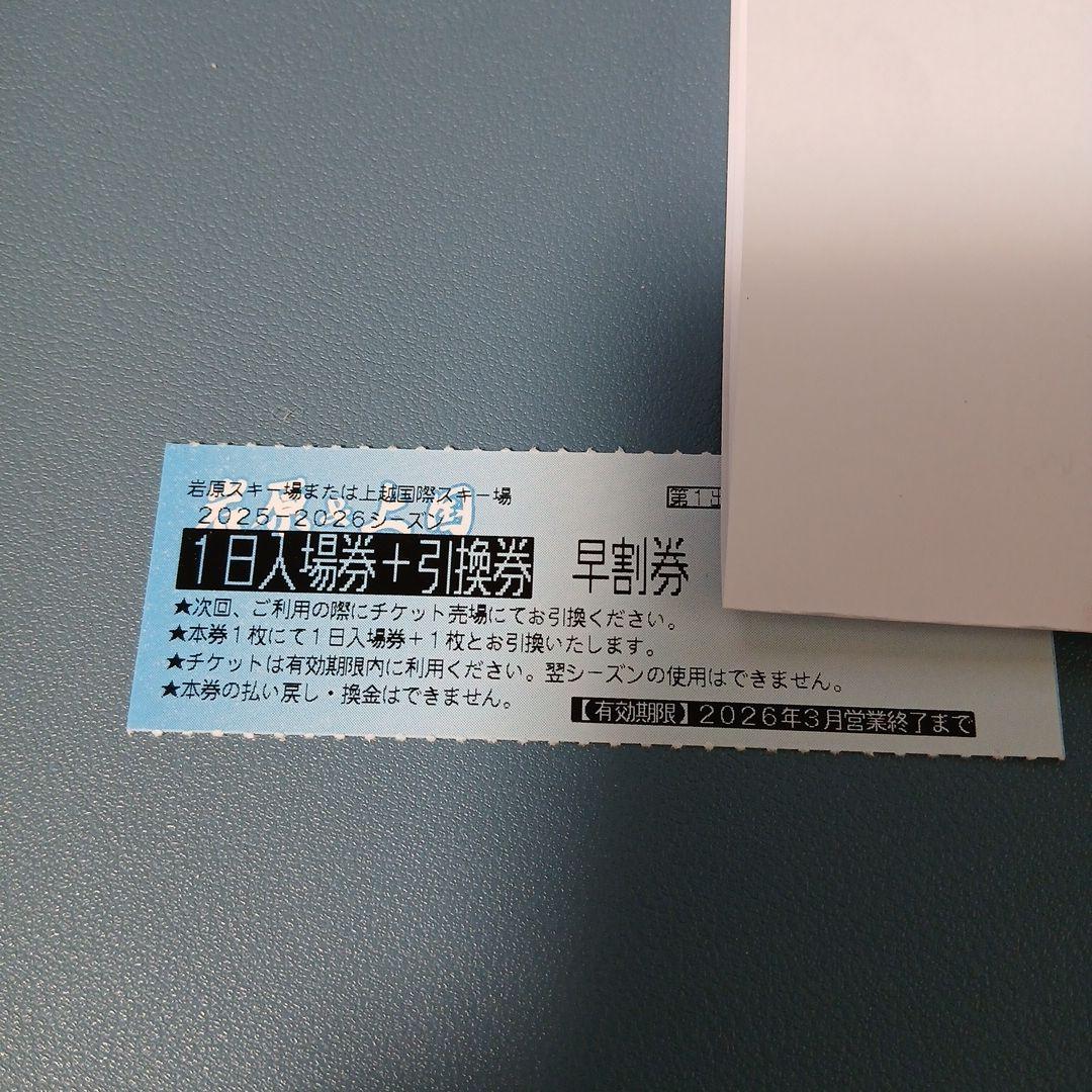 翌日発送！上越国際スキー場 岩原スキー場 大人1日入場券 - メルカリ