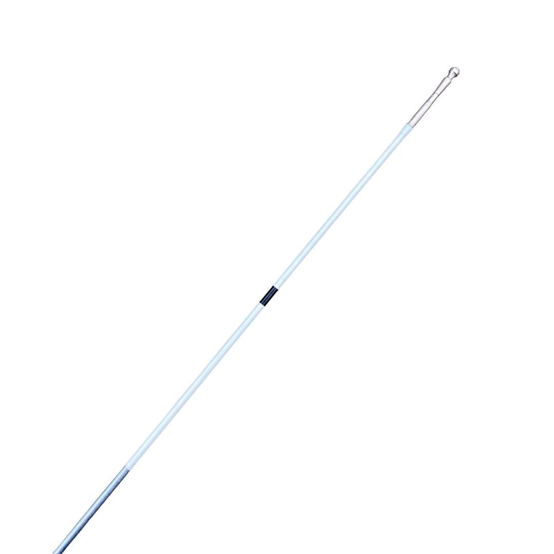 希少】ダイワ 巧匠 アルトマイスター II 早瀬抜90 鮎竿