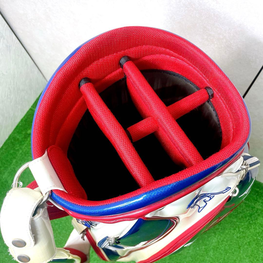 希少！ピン　Mr.PING CB-C221 キャディバッグ