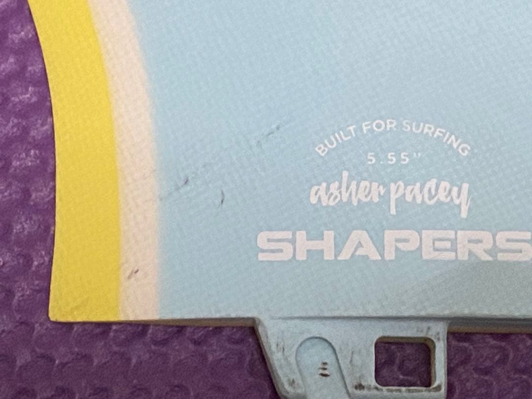 アッシャー・ペイシー fc2 ツインフィン