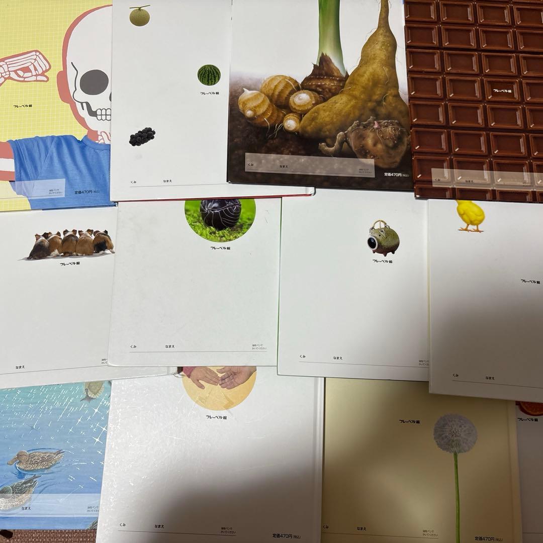 最終値下げ キンダーブックしぜん 37冊