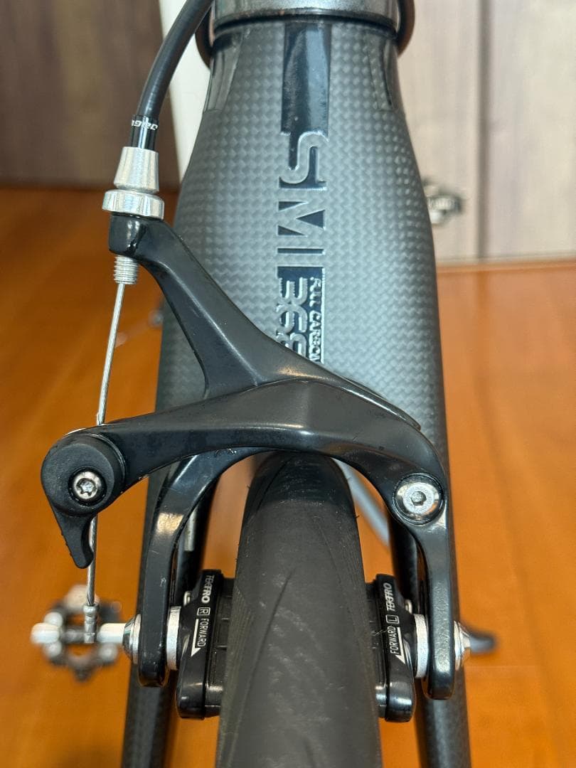 2023 tern surge pro 限定カラー