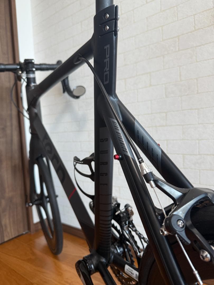 2023 tern surge pro 限定カラー